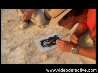 Digging For The Truth: Clip 4