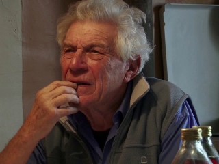 Lily Ford - TV Guide