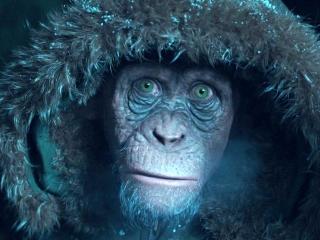 War For The Planet Of The Apes (Meeting Bad Ape Trailer)