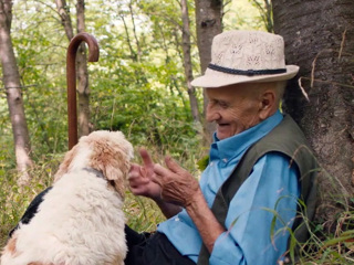 The Truffle Hunters Where To Watch And Stream Tv Guide The Truffle Hunters Where To Watch And Stream Tv Guide