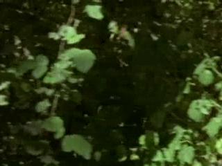 Midsomer Murders: The Early Cases: Vol. 14