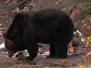 Tougher In Alaska: Clip 1