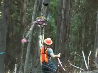 Ax Men: Episode 3 Recap
