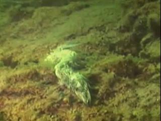 Monster Quest: Lake Demons