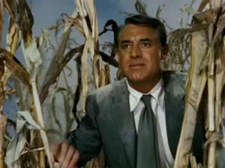 North By Northwest: 50th Anniversay Edition (Airplane Explosion)
