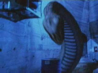 Python II - Where to Watch and Stream - TV Guide