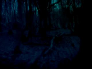Paranormal State: Season 4