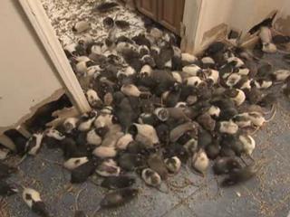 Hoarders: Season 3