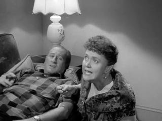 Car 54, Where Are You: The Taming Of Lucille