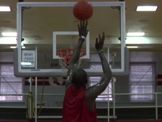 Elevate Reviews Metacritic