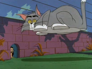Tom And Jerry: Fur Flying Adventures, Volume 2 (Twins)