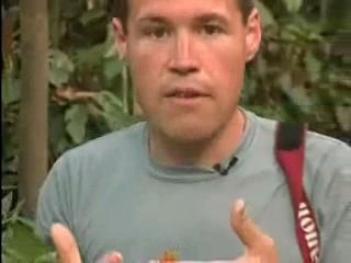 The Jeff Corwin Experience: Out On A Limb Scene: Leech Frog