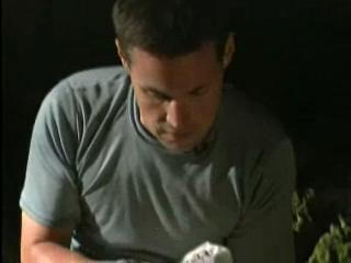 The Jeff Corwin Experience: Out On A Limb Scene: Bats!