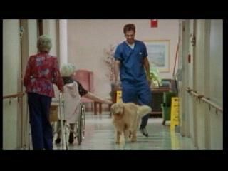 Assisted Living