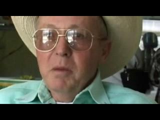 Cowboy Del Amor