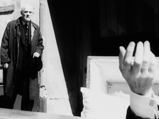 Wild Strawberries (Us)