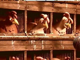 Creature Comforts Tv Show News Videos Full Episodes And More